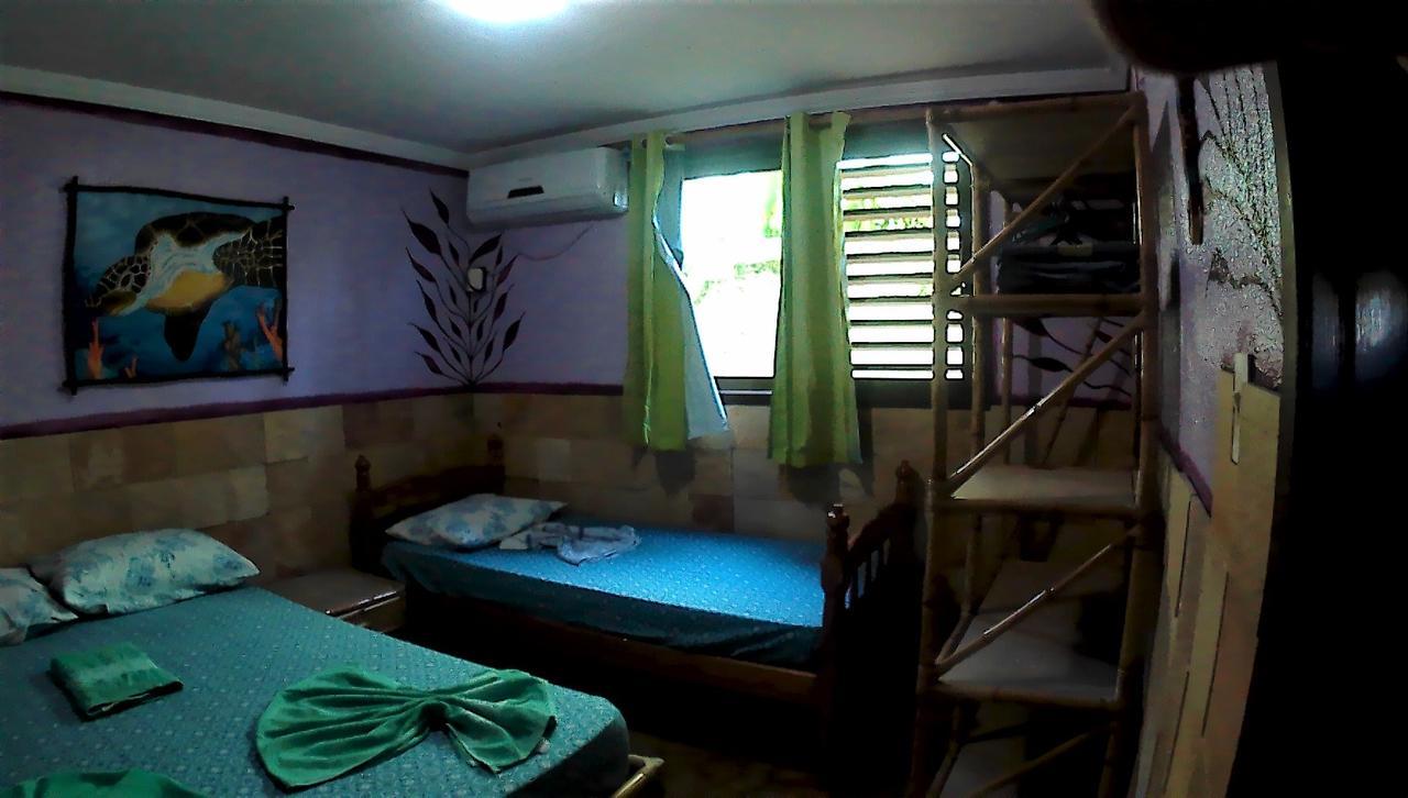 الشقق الفندقية ناتالفي  Bamboo Flat المظهر الخارجي الصورة